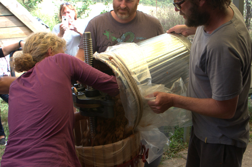 Transferring fruit pulp to the press